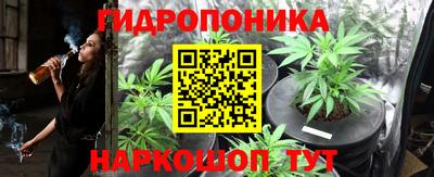 PSILOCYBIN Кимры