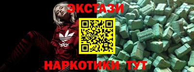 jwh Кингисепп