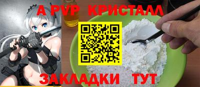 jwh Кингисепп