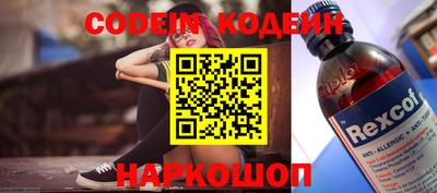 jwh Кингисепп