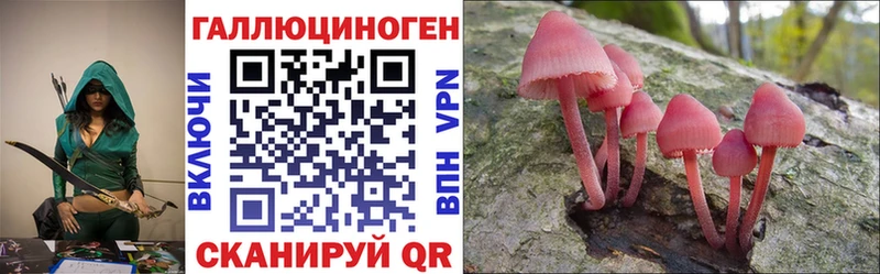 наркота  Магадан  Галлюциногенные грибы Psilocybe 