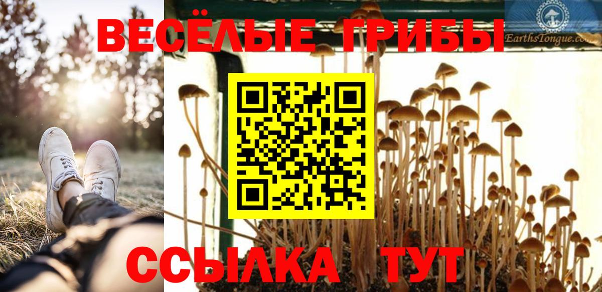 Галлюциногенные грибы ЛСД  Галлюциногенные грибы Psilocybine cubensis  Магадан  Вход с VPN 