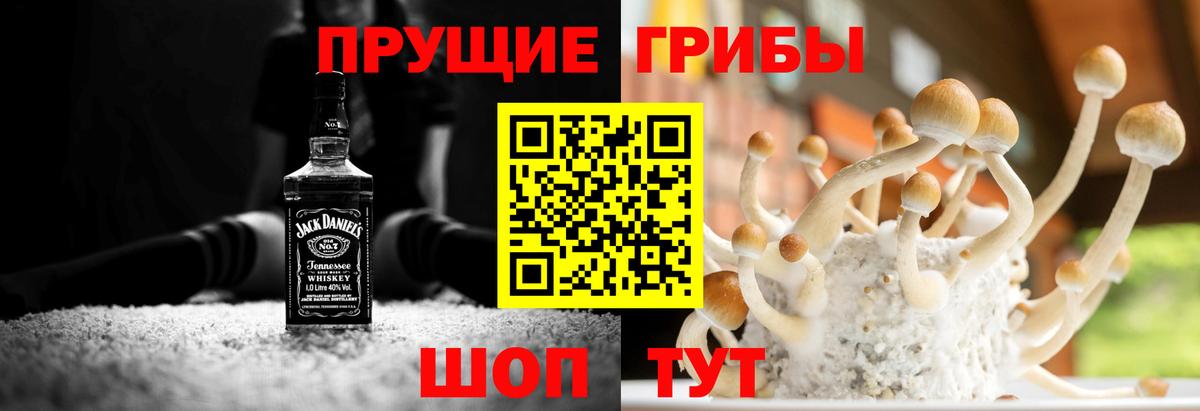 Галлюциногенные грибы прущие грибы Магадан